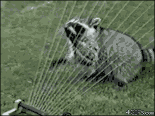 键盘“马杀鸡”，大屏酷又炫 ｜未来的视听盛宴 (3).gif